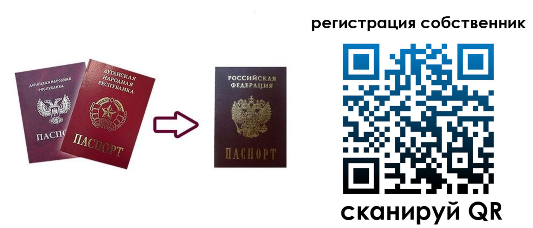 прописка для школы в Краснознаменске